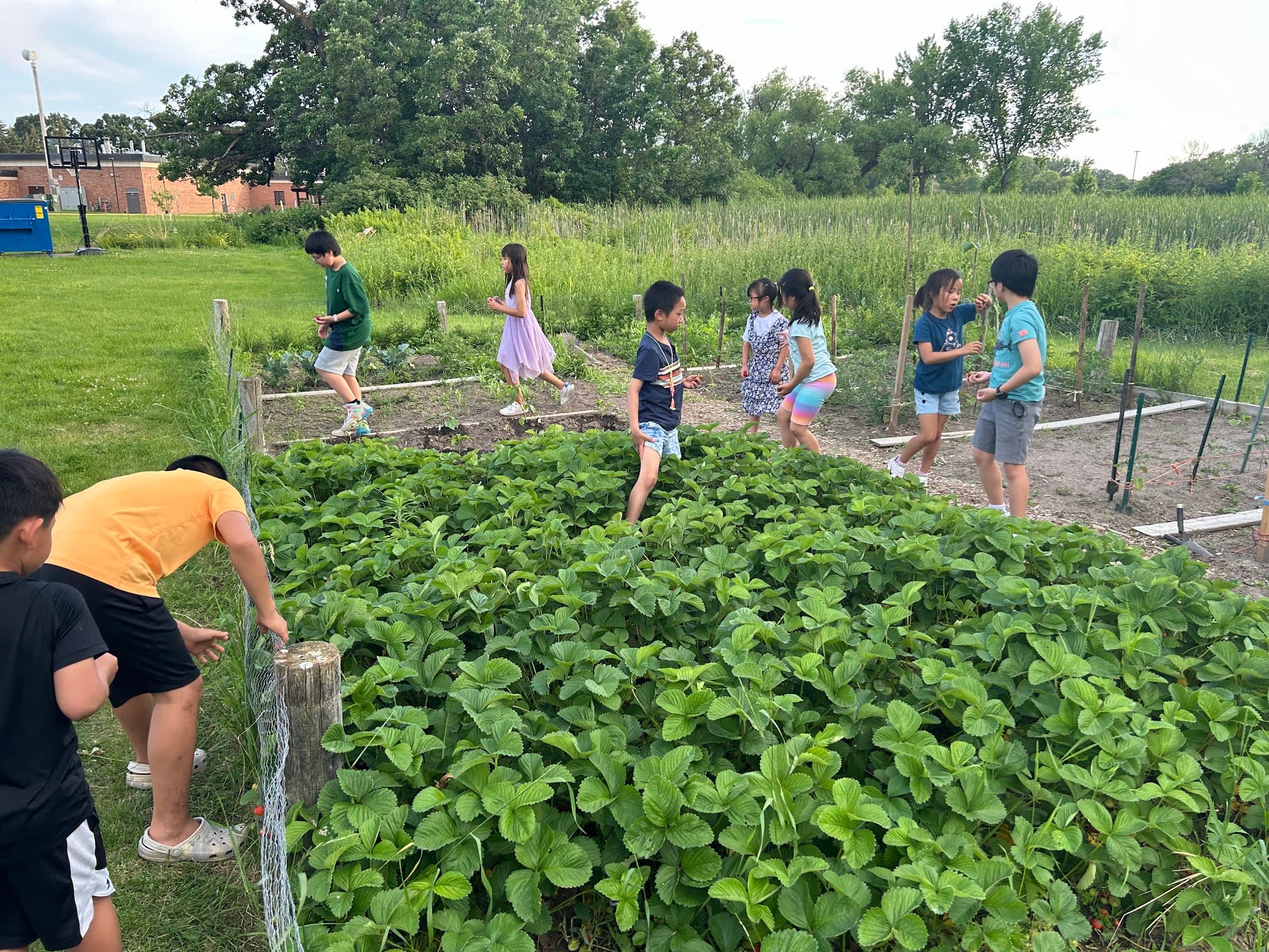 Children gathered in the church garden