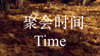 brown-dry-leaves-on-the-ground-in-the-forest-close-smooth-dolly-shot-to-right-fallen-golden-leaves-and-forest-trees-in-soft-focus-on-the-background-autumn-forest-yellow-carpet_s0vlrov1l_thumbnail-full01